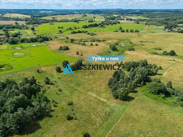 działka na sprzedaż 3005m2 działka Kierzkowo