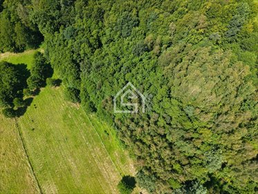 Działka rolna 25,40 ar w Królówce - spokojna okolica. działka Królówka