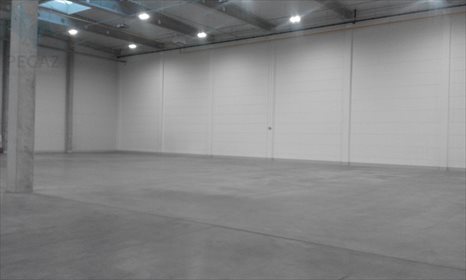 Lokal użytkowy na sprzedaż Kostrzyn 2 422m2 Foto 6