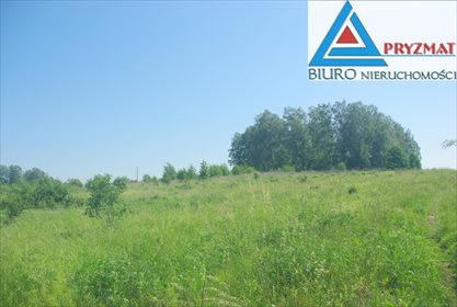 Działka budowlana na sprzedaż Mokiny 1 545m2 Foto 6