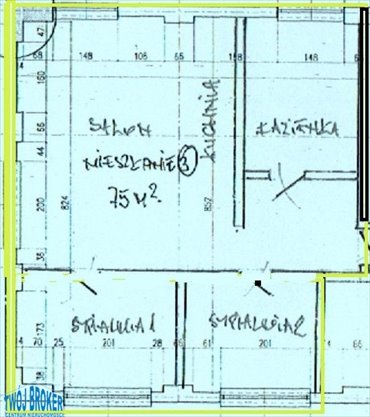 mieszkanie na wynajem 75m2 mieszkanie Pszczółki