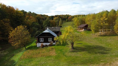 Polecam urokliwy dom 70 m² z lasem na 30-ar. Idealny dla miłośników natury dom Nowa Wieś