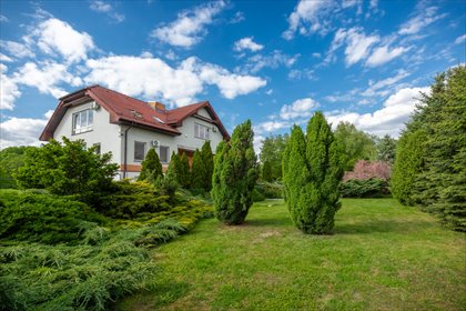 lokal użytkowy na wynajem 500m2 lokal użytkowy Zębice, Leśna