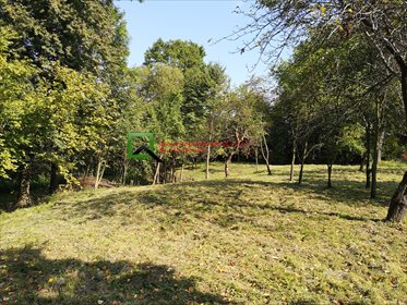 Działka budowlana na sprzedaż Buków 2 086m2 Foto 3