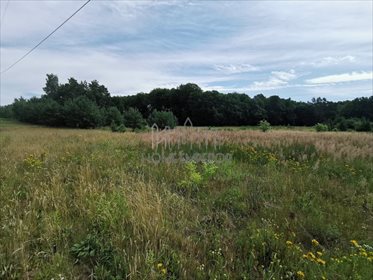 działka na sprzedaż 5551m2 działka Szczecin, Jezierzyce