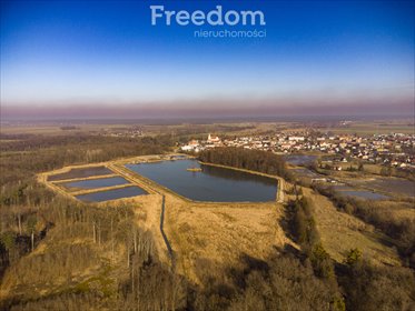 lokal użytkowy na sprzedaż 200000m2 lokal użytkowy Korfantów, Parkowa