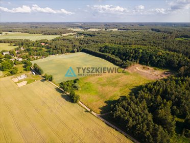 działka na sprzedaż 4998m2 działka Lipy