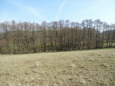 Działka budowlana na sprzedaż Kosowo 1 000m2 Foto 3