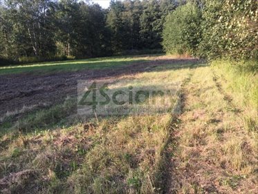 Działka 1500 m² pod zabudowę w Sierzchowie - zapraszam działka Sierzchów