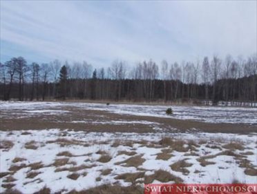 Działka budowlana na sprzedaż Skoroszów 6 300m2 Foto 6