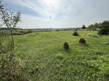 Działka inwestycyjna 1637 m² z prądem i blisko natury działka Poznań, Wadowicka