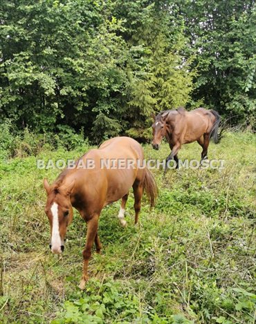 dom na wynajem 160m2 dom Bukowno