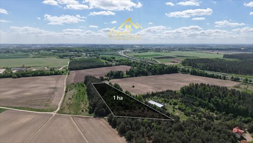Polecam działkę inwestycyjną 1 ha przy S7 w Olsztynku działka Olsztynek, Olsztynek
