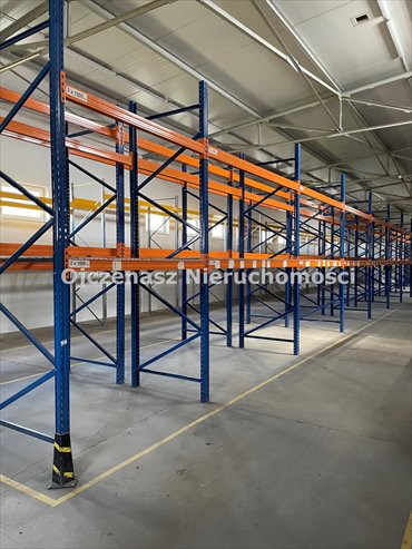 lokal użytkowy na wynajem 1012m2 lokal użytkowy Myślęcinek