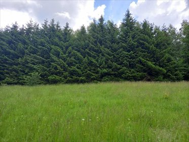 działka na sprzedaż 6367m2 działka Walim