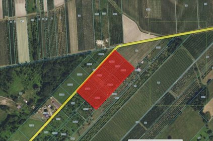 działka na sprzedaż 3300m2 działka Adamów Rososki