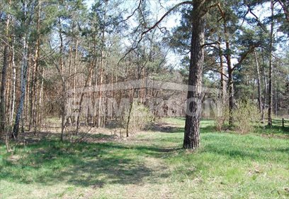 Działka budowlana na sprzedaż Józefów, Michalin 1 874m2 Foto 5
