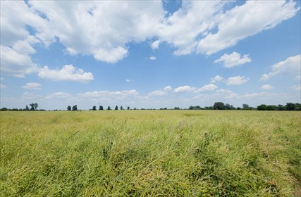 Działka 1140 m² Przeworsk ul. Korczaka – MPZP działka Przeworsk