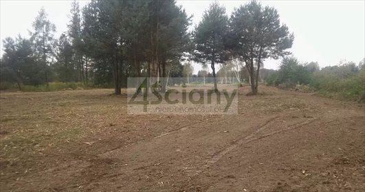 Na sprzedaż działka 9385 m² z MPZP, media, las, blisko Nadarzyna działka Strzeniówka