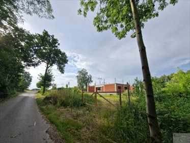 lokal użytkowy na sprzedaż 3120m2 lokal użytkowy Chełm Śląski, Rolnicza