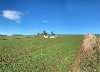 działka na sprzedaż 1583m2 działka Władysław