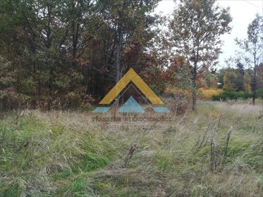 Działka leśna na sprzedaż Suchowo 19 300m2 Foto 7