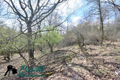 Działka rolna na sprzedaż Uzarzewo, Katarzynki 16 100m2 Foto 3