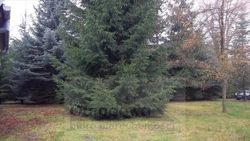 Dom na sprzedaż Ruda 130m2 Foto 4