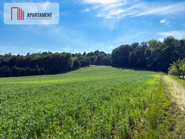 działka na sprzedaż 11369m2 działka Gruczno