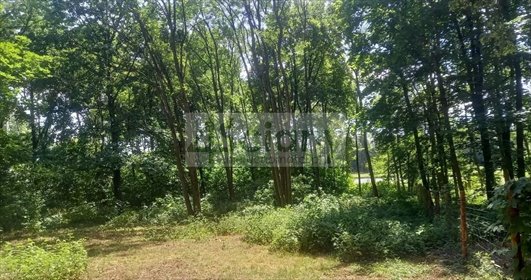 Działka 2589 m² z mediami w Podkowie Leśnej działka Podkowa Leśna