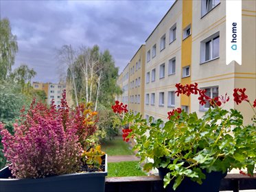 Przestronne 4-pokojowe mieszkanie (73,07 m²) na niskim piętrze mieszkanie Chełm, Karola Szymanowskiego