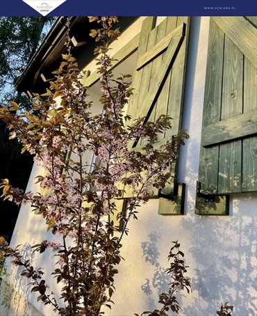 dom na sprzedaż 80m2 dom Lewinko, Jałowcowa