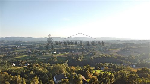 Działka leśna na sprzedaż Ryglice, Wola Lubecka 18 566m2 Foto 3
