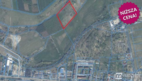 Działka rolna 16 447 m² z drzewami, bez planu. działka Nowogard, Obrzeża miasta