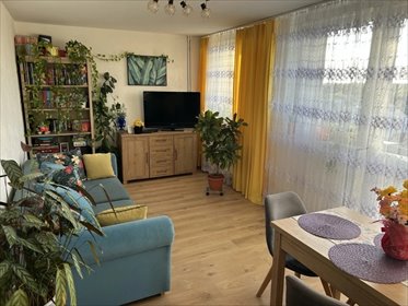 2-pokojowe mieszkanie 46 m2 - blisko komunikacji i szkół mieszkanie Wrocław, Psie Pole, Krzywoustego