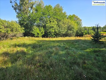 działka na sprzedaż 9800m2 działka Stobnica-Piła