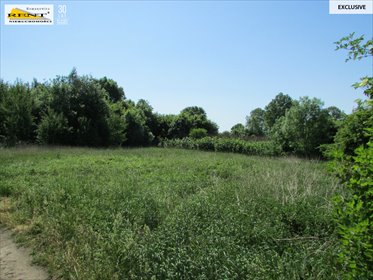 działka na sprzedaż 3300m2 działka Sadlno