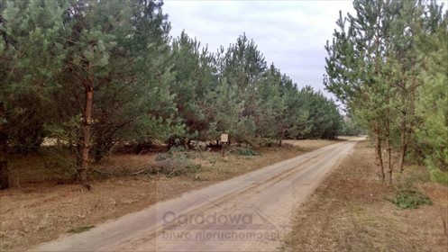 Działka budowlana na sprzedaż Starowola 12 600m2 Foto 2
