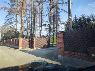 działka na sprzedaż 1000m2 działka Janki