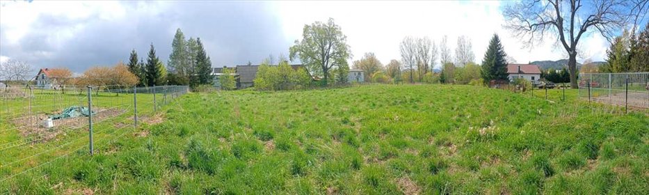 działka na sprzedaż 3000m2 działka Kamienna Góra, Raszów