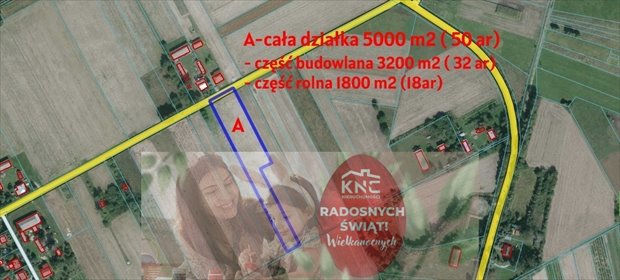 działka na sprzedaż 5000m2 działka Brzostówka