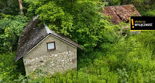 Urokliwe siedlisko z lasem i potencjałem inwestycyjnym dom Górnowola