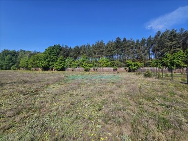 działka na sprzedaż 1500m2 działka Marynin