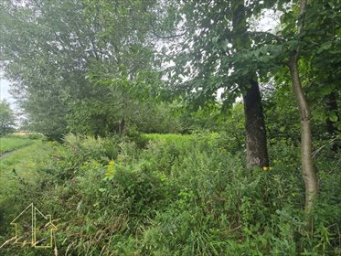 Działka 9300 m² z lasem, dwa wjazdy, cisza - polecam! działka Siecień-Rumunki
