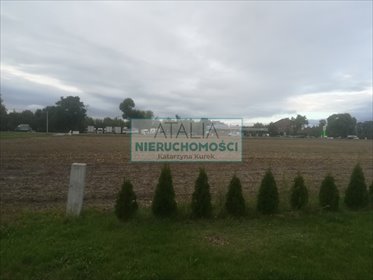Działka 13 600 m² z MPZP przy DK 92 – idealna pod usługi działka Błonie