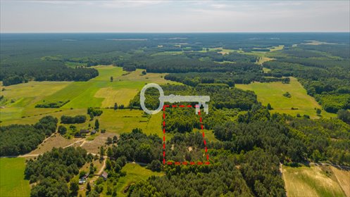Działka 1,4 ha pod dom w Borach Tucholskich z decyzją o zabudowie działka Będźmierowice
