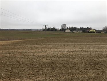 Działka 1,84ha z mediami, cicha okolica, pierwsza linia działka Tomaszowice