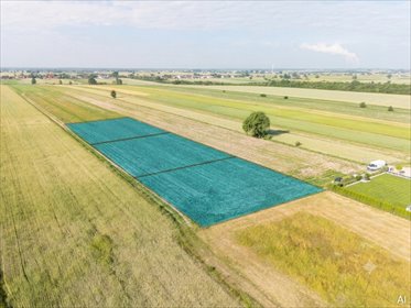 Ul. Moryca – działki z WZ od 97,88 zł/m² działka Piotrków Trybunalski, Moryca