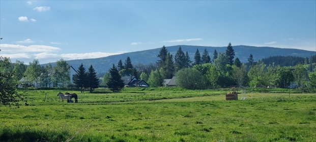 działka na sprzedaż 450m2 działka Karpniki