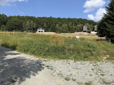 Zapraszam do obejrzenia działki 1219 m² z widokiem na Góry Sowiej działka Wilcza
